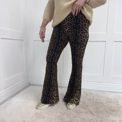 Bekah: Leopard print bell bottom flares. 2 sizes